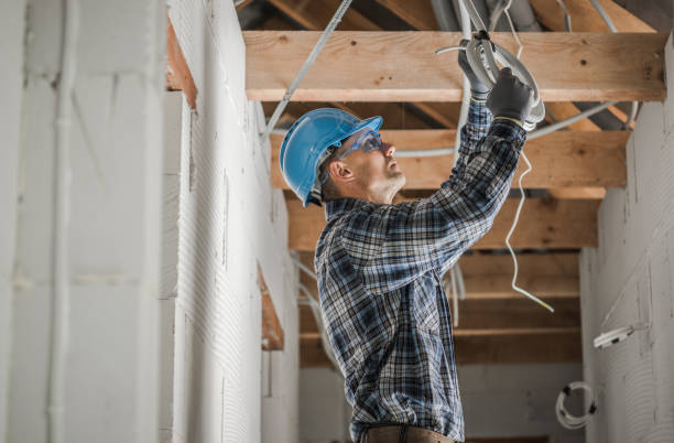 Best Ceiling Fan Installation Electrician  in Hamshire, TX